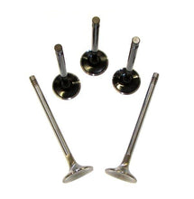 Load image into Gallery viewer, 034-201-8014-STOCK - 034Motorsport VALVE SET, 5V, STOCK SIZE