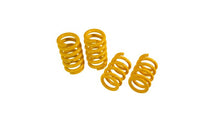 Load image into Gallery viewer, Lamborghini Revuelto (2024-) Novitec Lowering Spring Set

